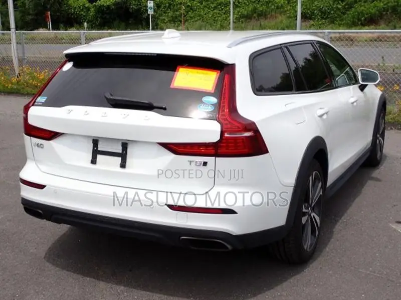 Volvo V60 2019 Pearl