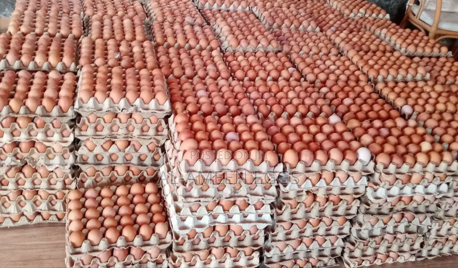 EGGS-farm Fresh