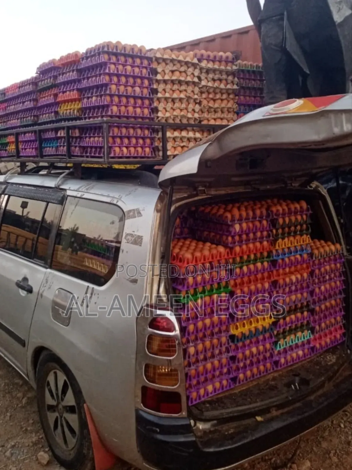 EGGS-farm Fresh