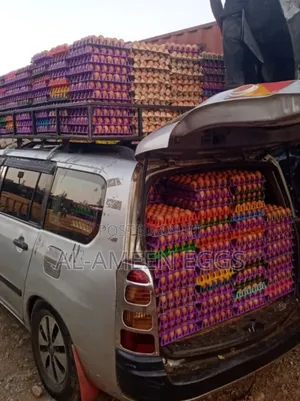 EGGS-farm Fresh