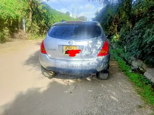 Nissan Murano 2005 Silver
