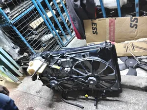 Crown Radiator Complete 2008-2010