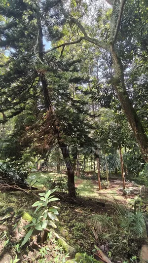 0.9 Acre Commercial Land for Sale in Ngong Road