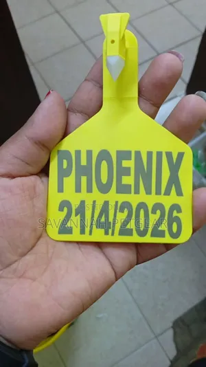 Premium Z-Tag Cattle Ear Tags Applicators for Professional Identity