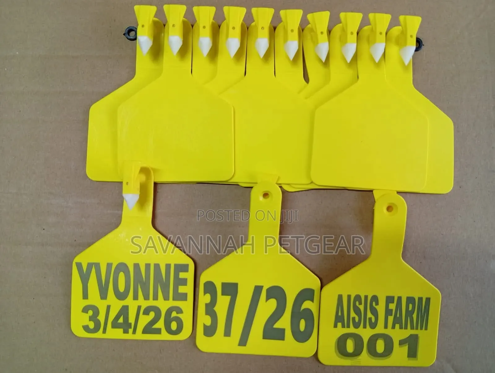 Premium Z-Tag Cattle Ear Tags Applicators for Professional Identity
