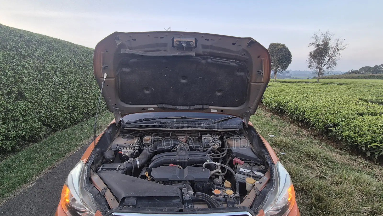 Subaru XV Limited Package with Technology 2016 Orange