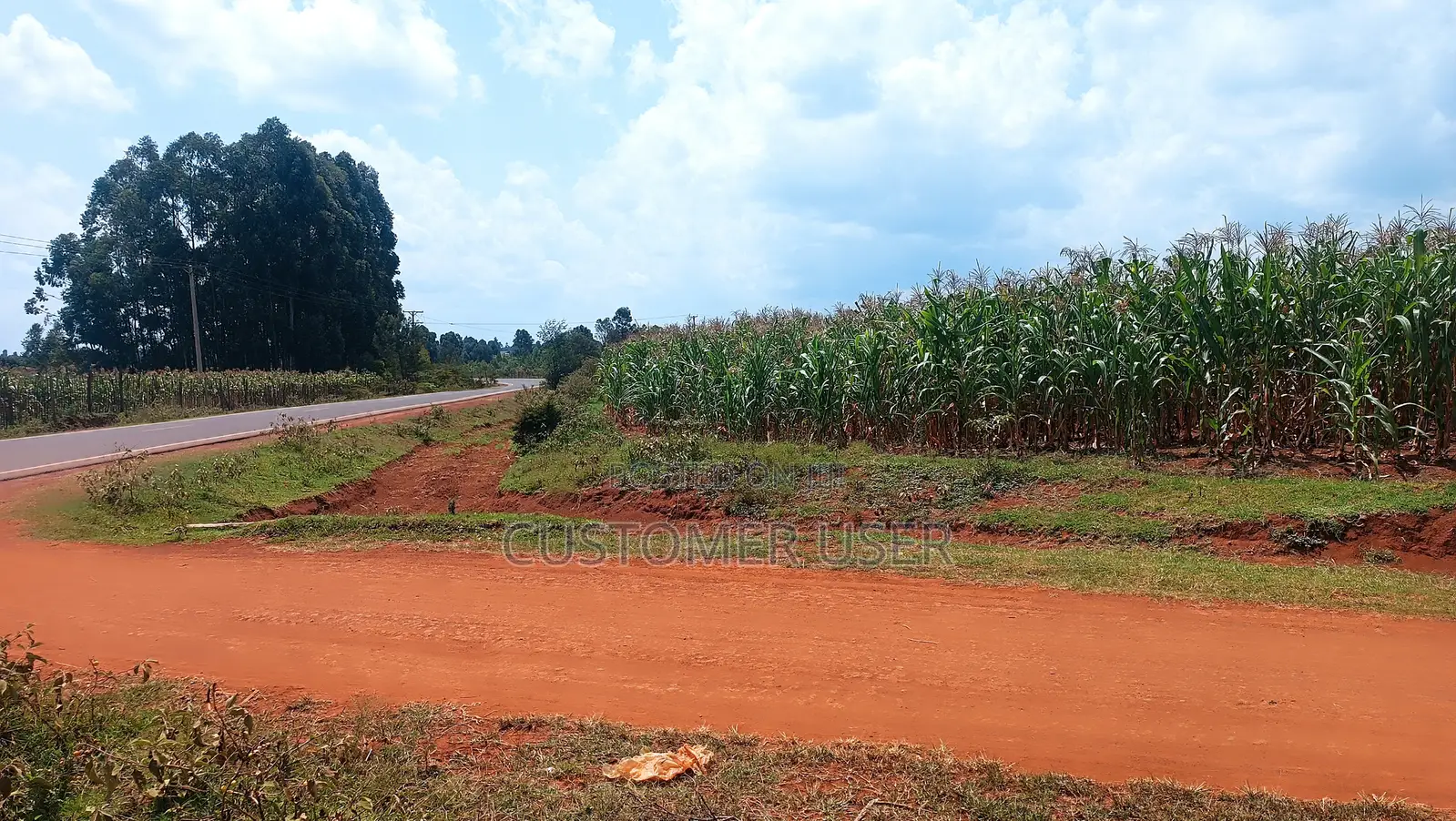 Land for Sale in Kipsangui, Eldoret