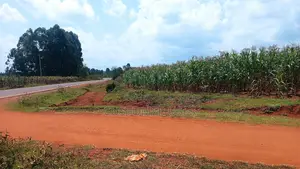 Land for Sale in Kipsangui, Eldoret