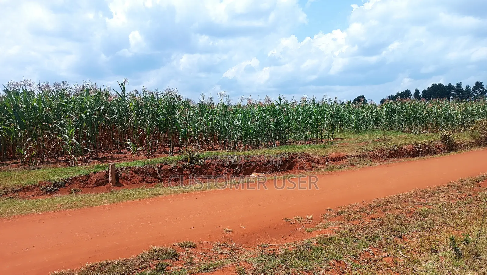 Land for Sale in Kipsangui, Eldoret