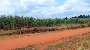Land for Sale in Kipsangui, Eldoret
