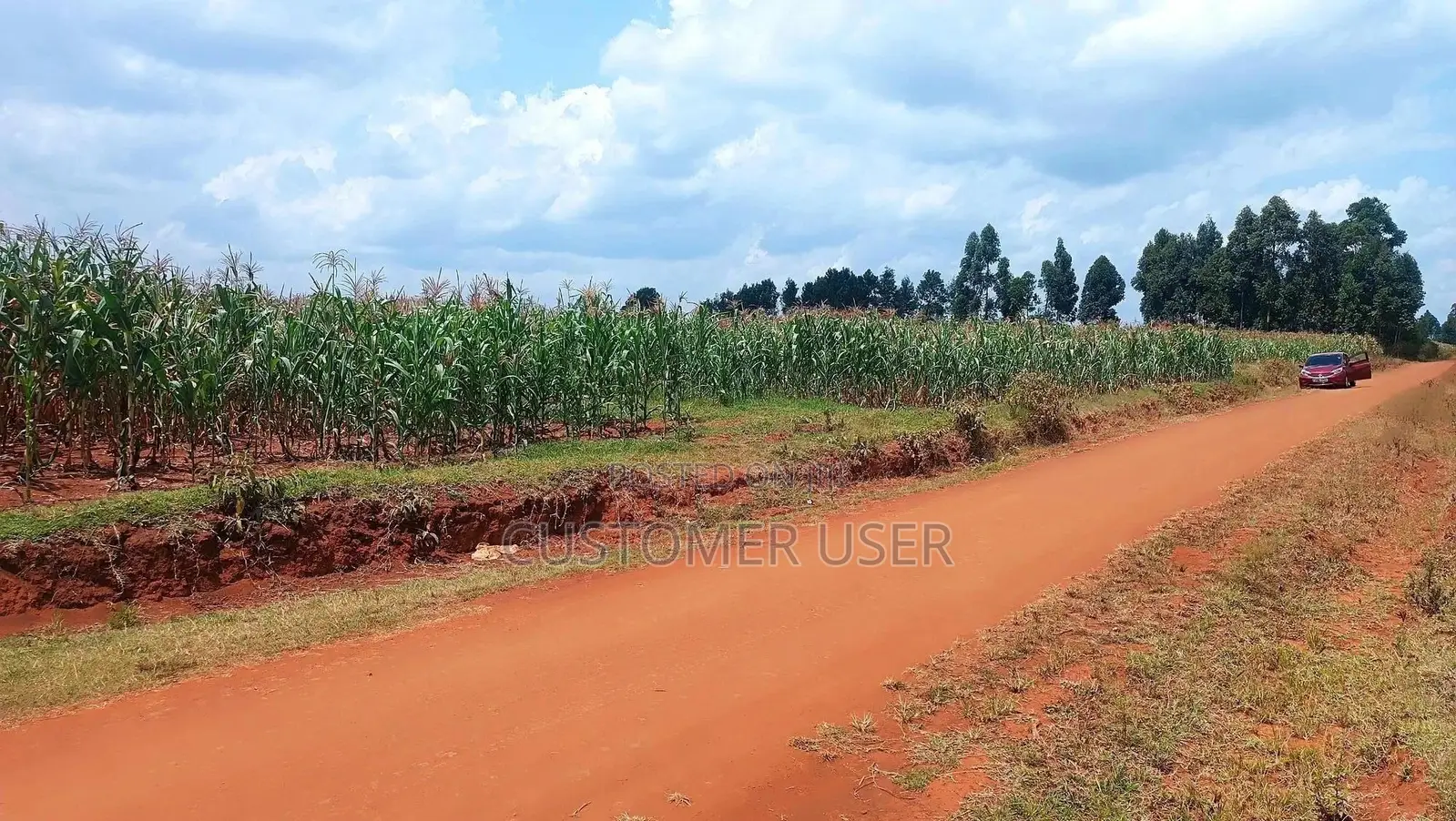 Land for Sale in Kipsangui, Eldoret