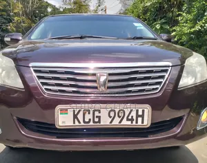 Toyota Premio 2009 Burgundy