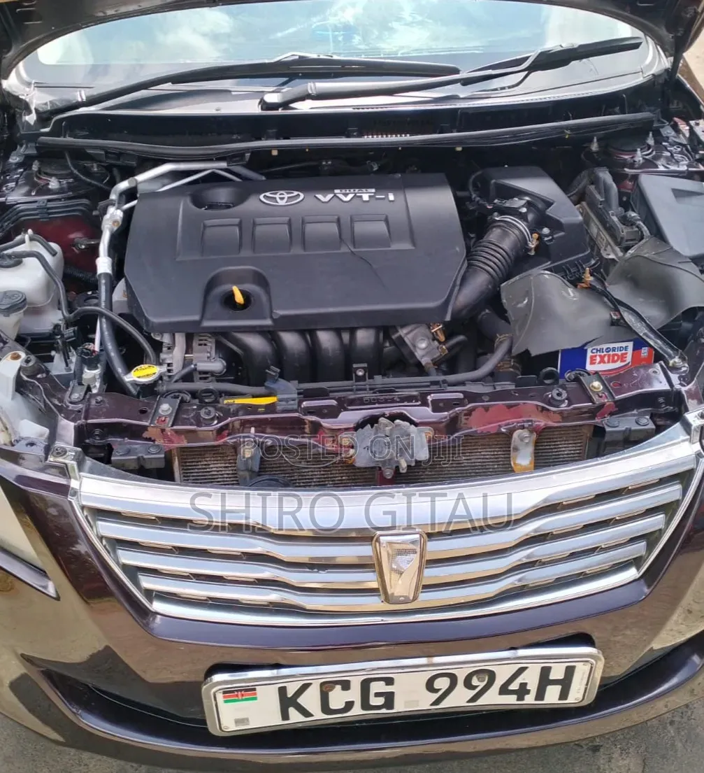 Toyota Premio 2009 Burgundy