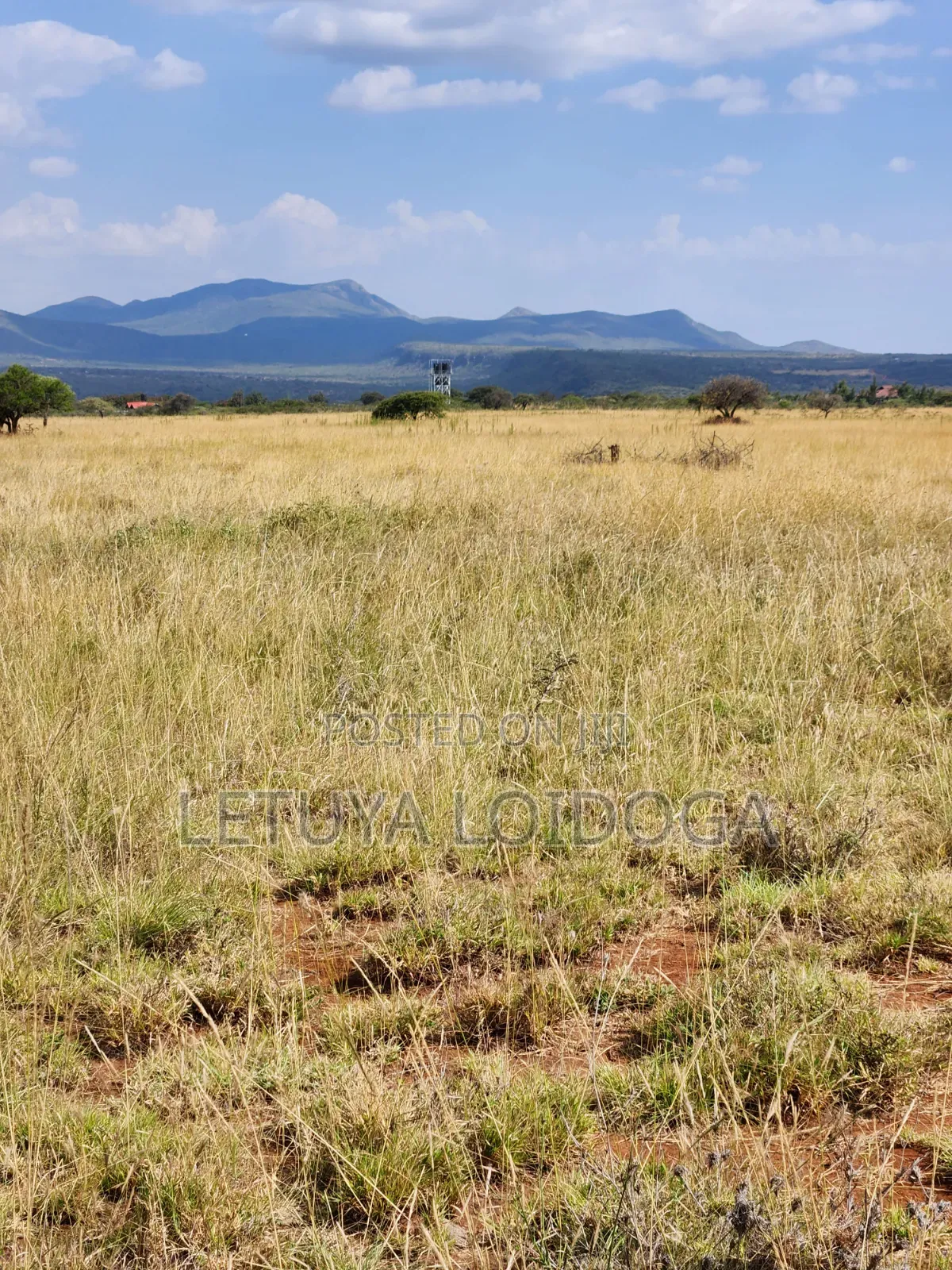 Ngong-Kimuka, Prime 5 Acres
