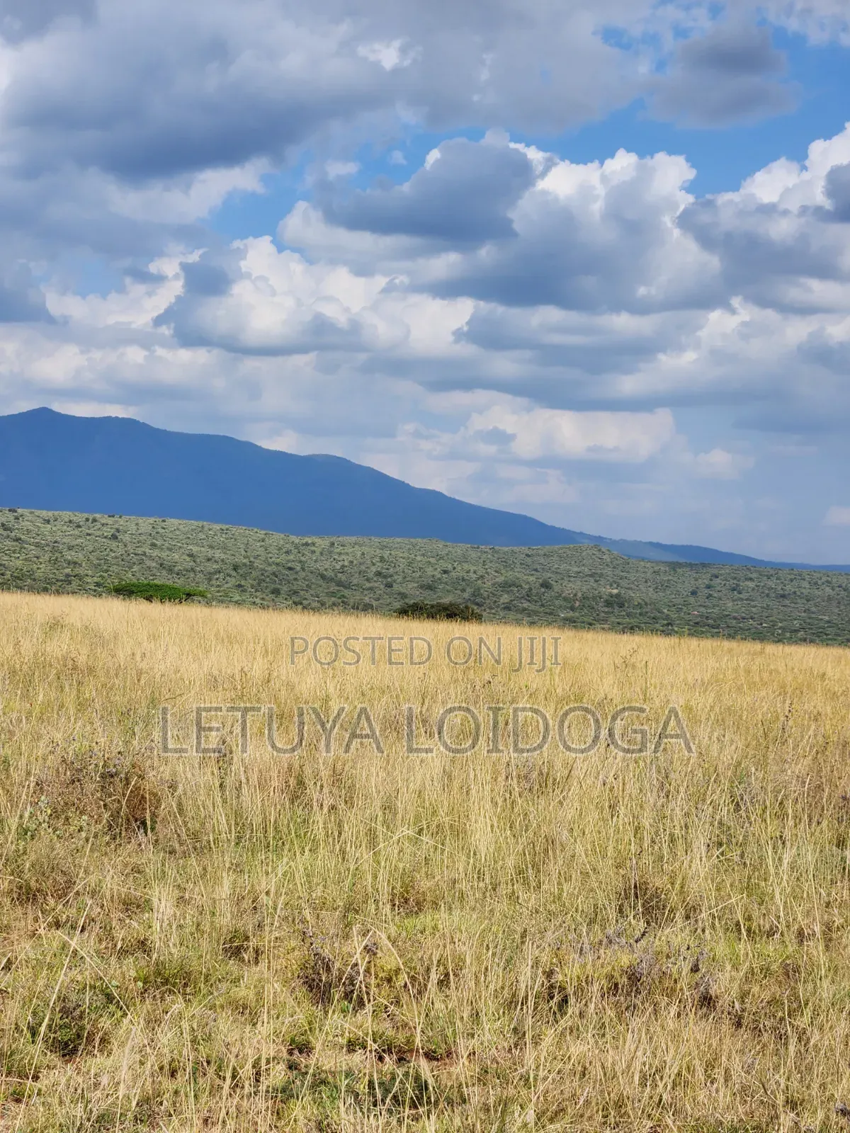 Ngong-Kimuka, Prime 5 Acres