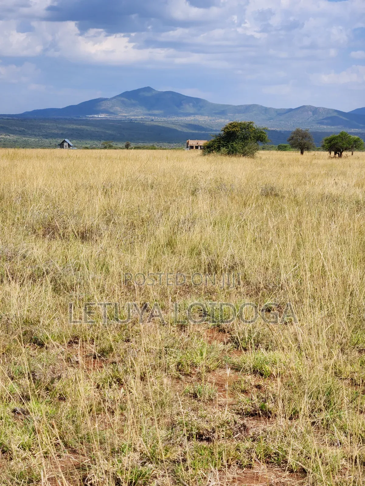 Ngong-Kimuka, Prime 5 Acres