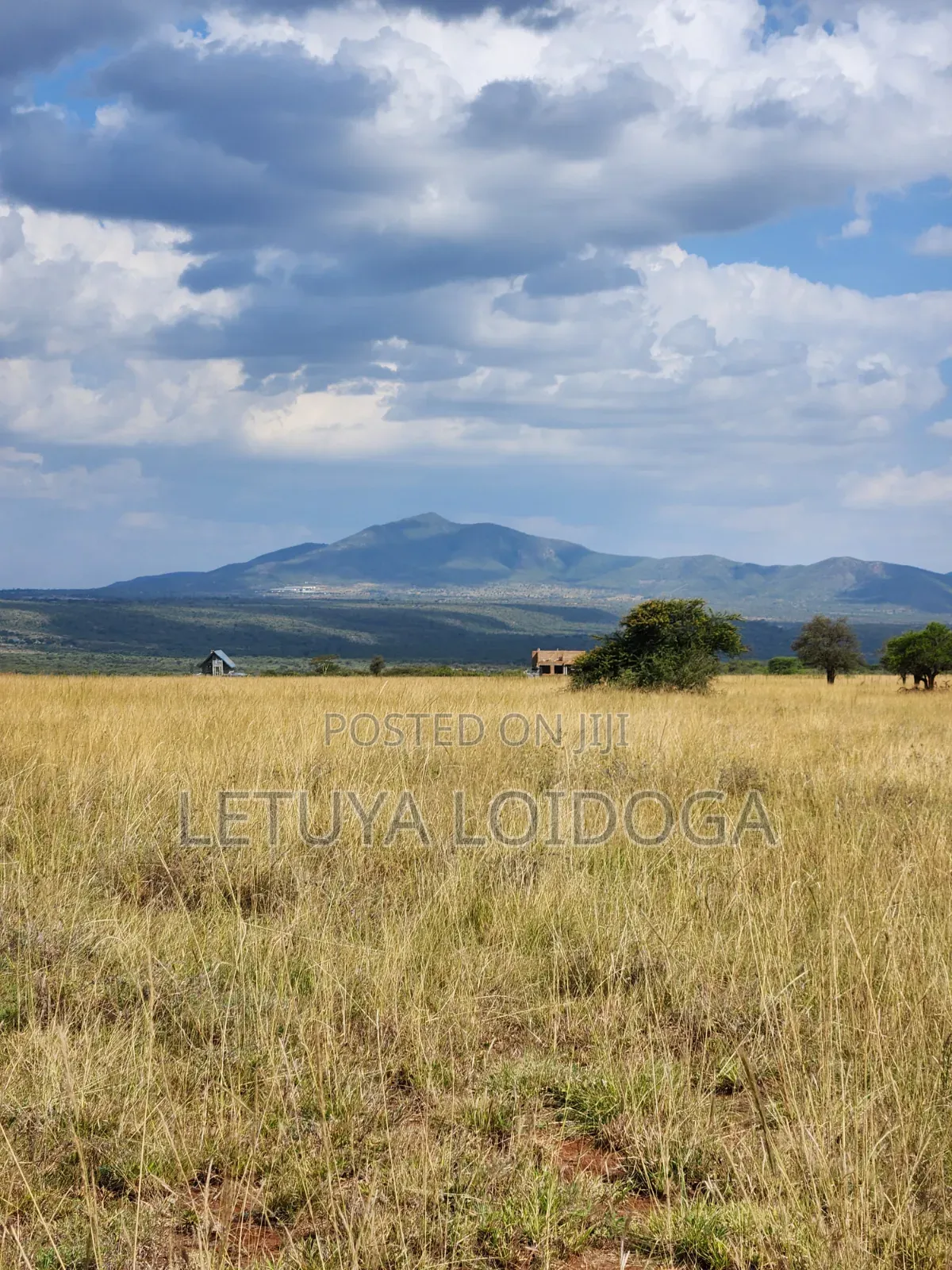 Ngong-Kimuka, Prime 5 Acres