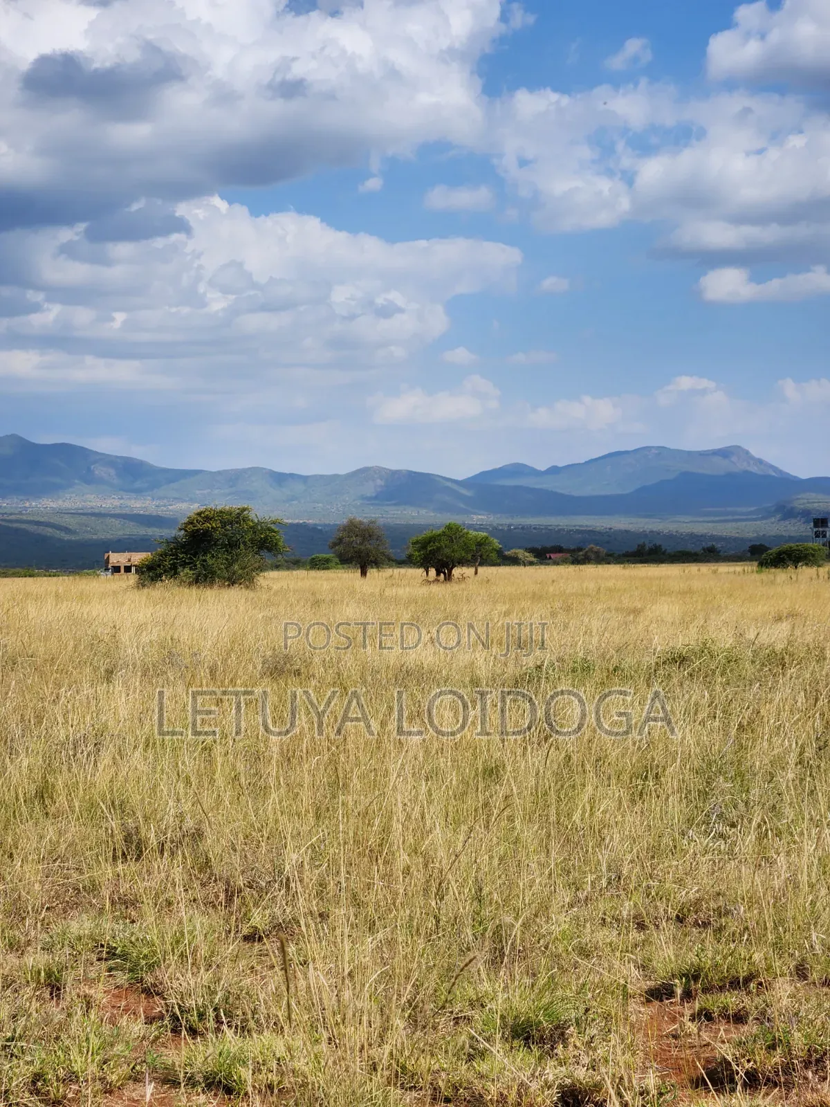 Ngong-Kimuka, Prime 5 Acres