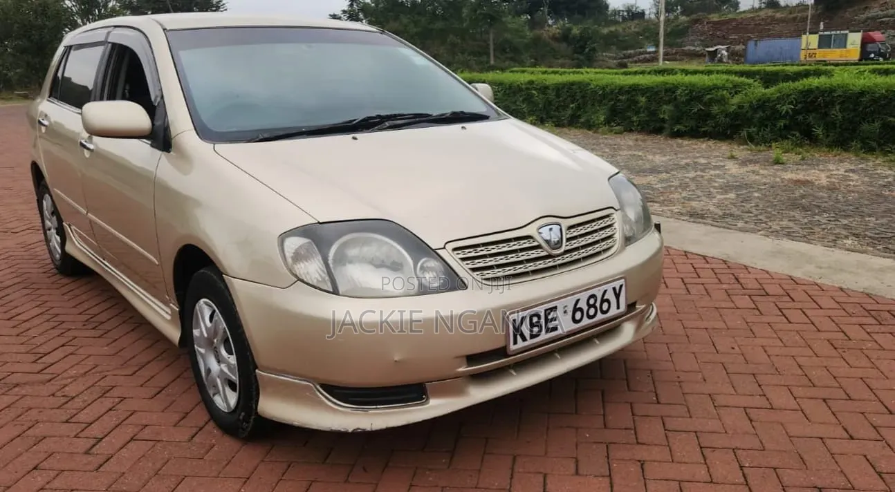 Toyota Allex 2002 Gold