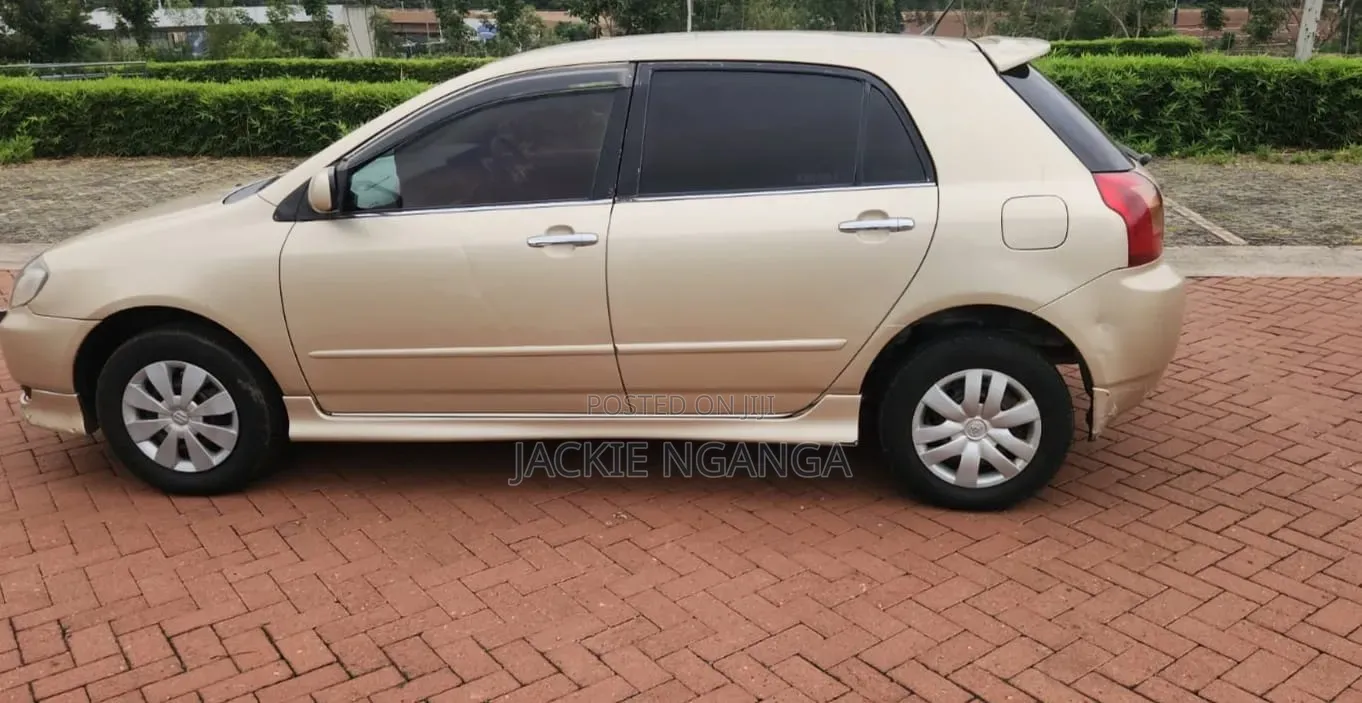 Toyota Allex 2002 Gold