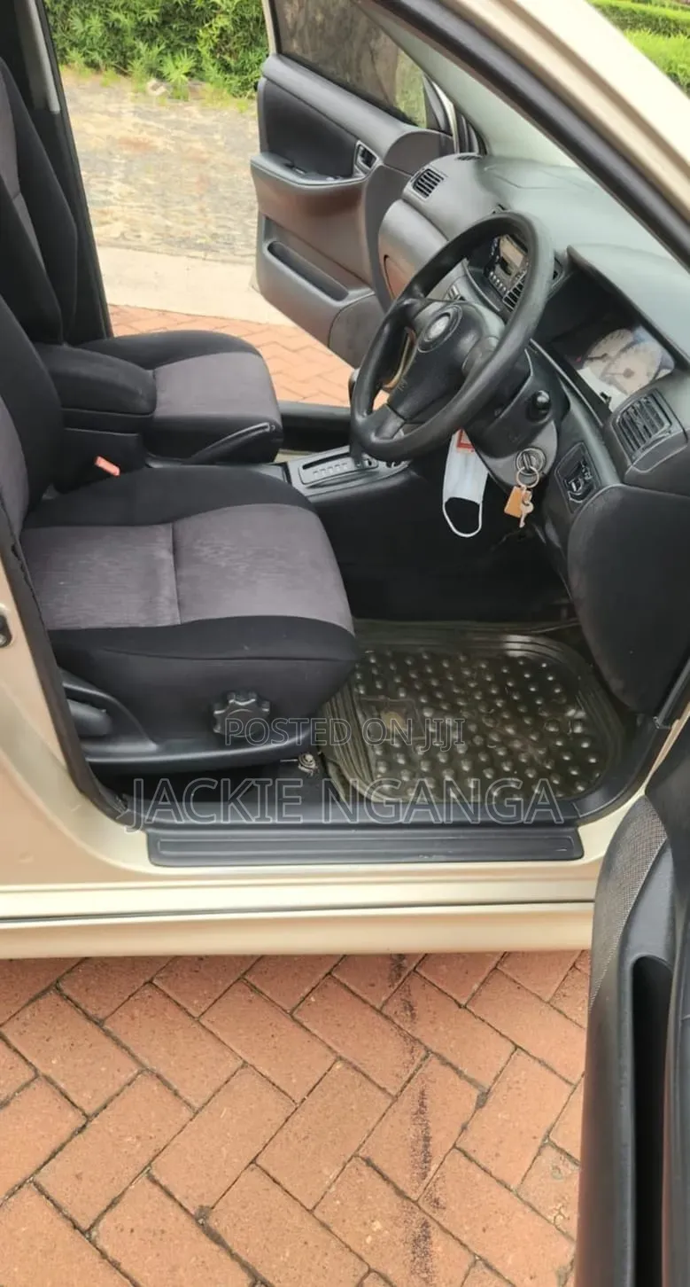 Toyota Allex 2002 Gold