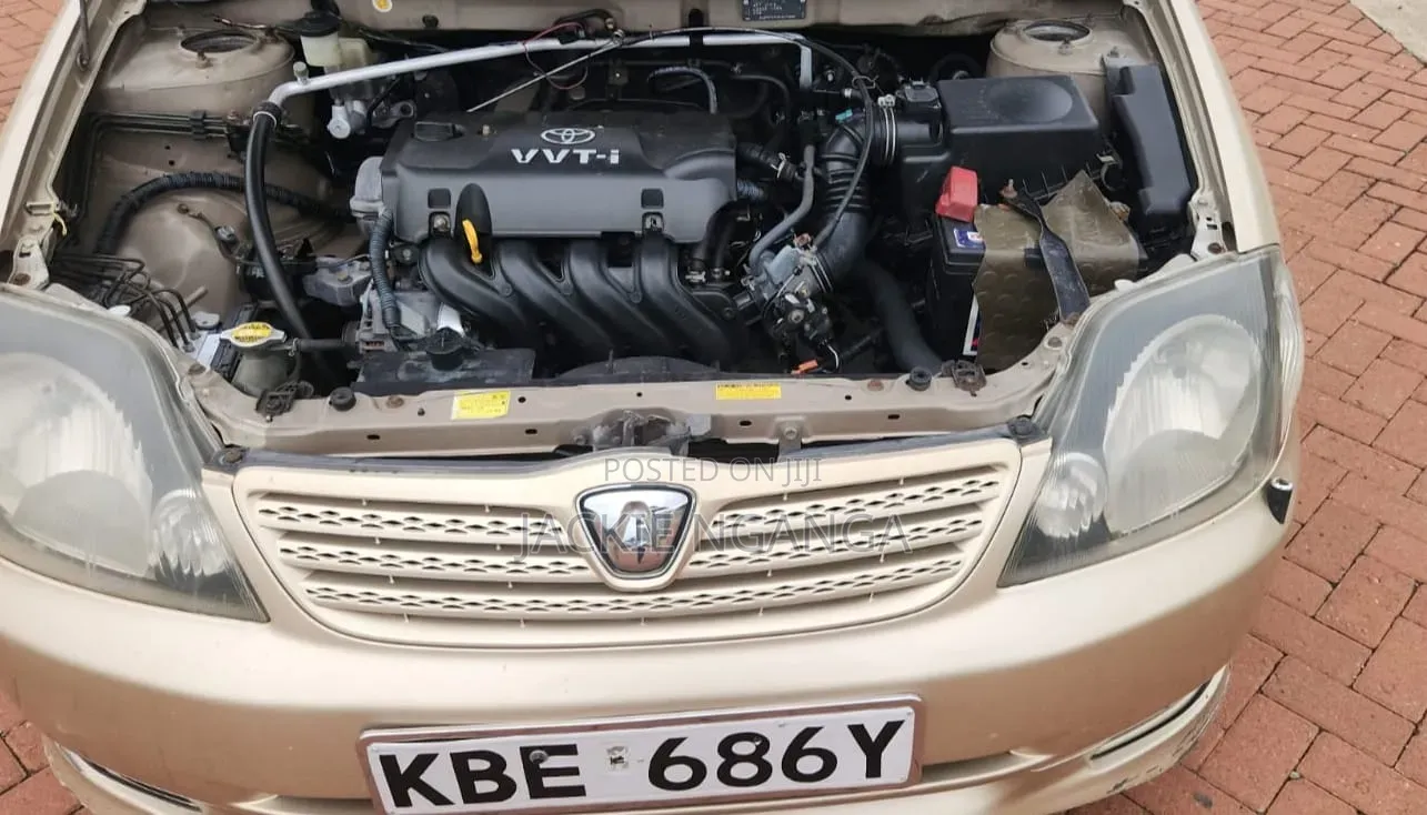 Toyota Allex 2002 Gold