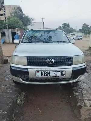 Toyota Probox 2004 Silver