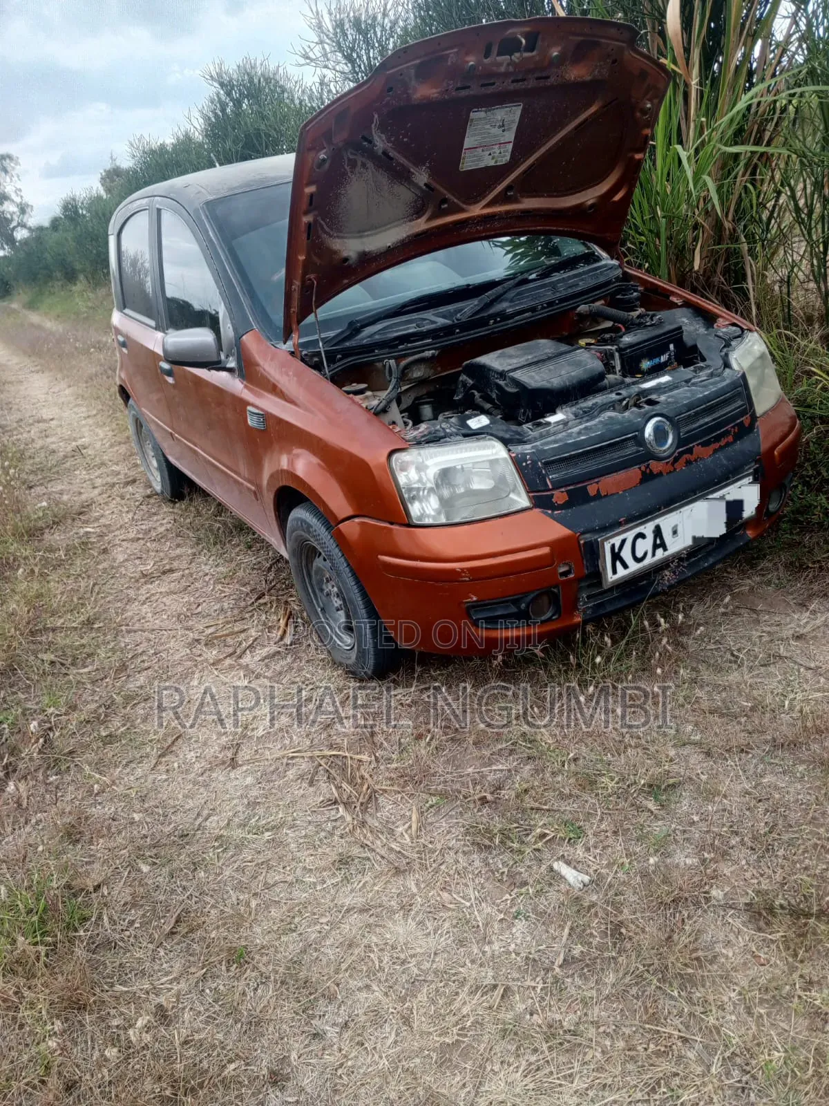 Fiat Panda 2007 Orange