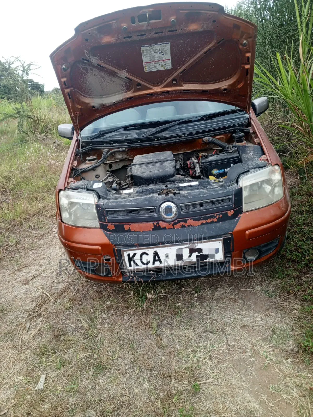 Fiat Panda 2007 Orange