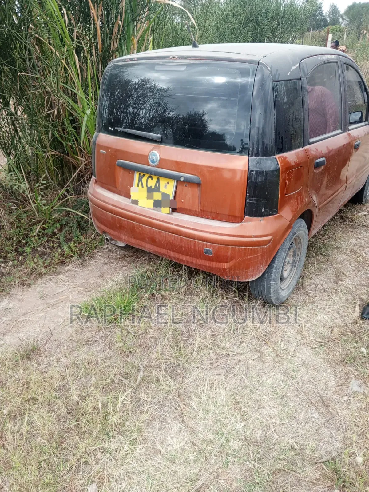 Fiat Panda 2007 Orange