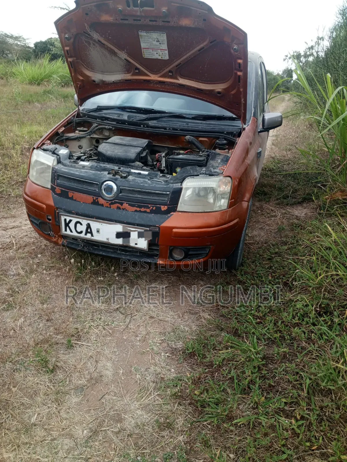 Fiat Panda 2007 Orange