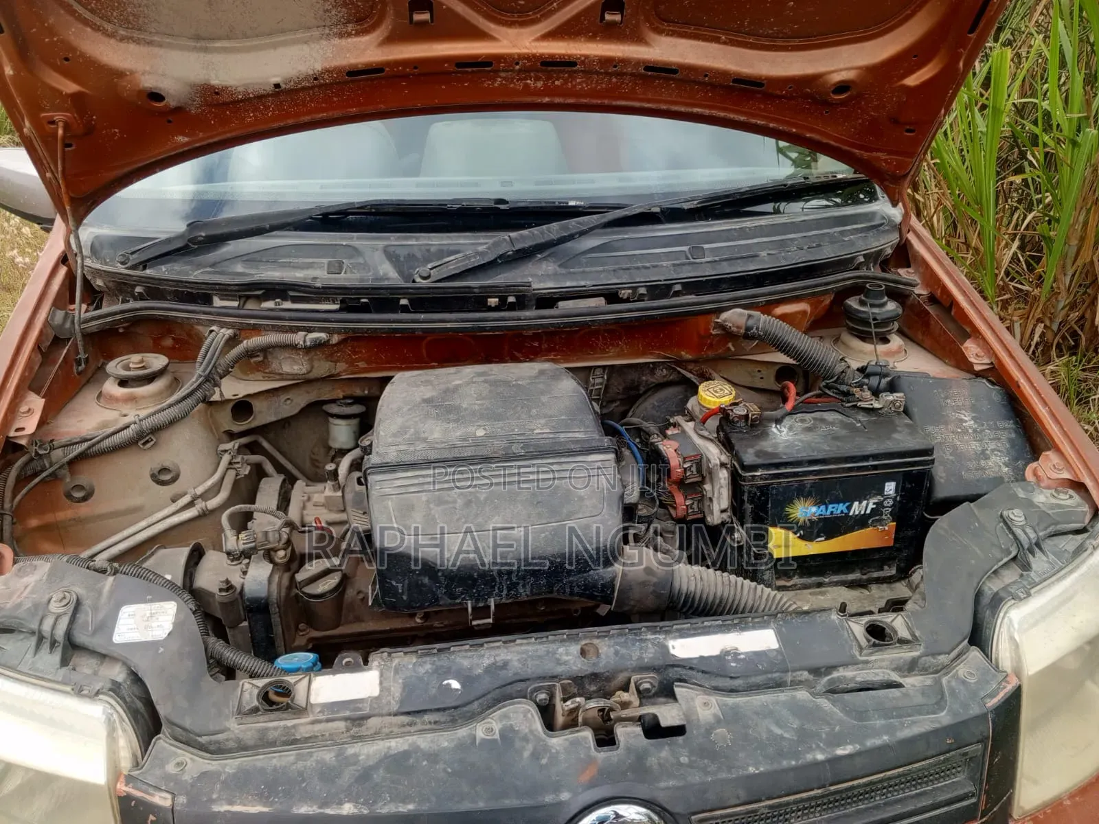 Fiat Panda 2007 Orange