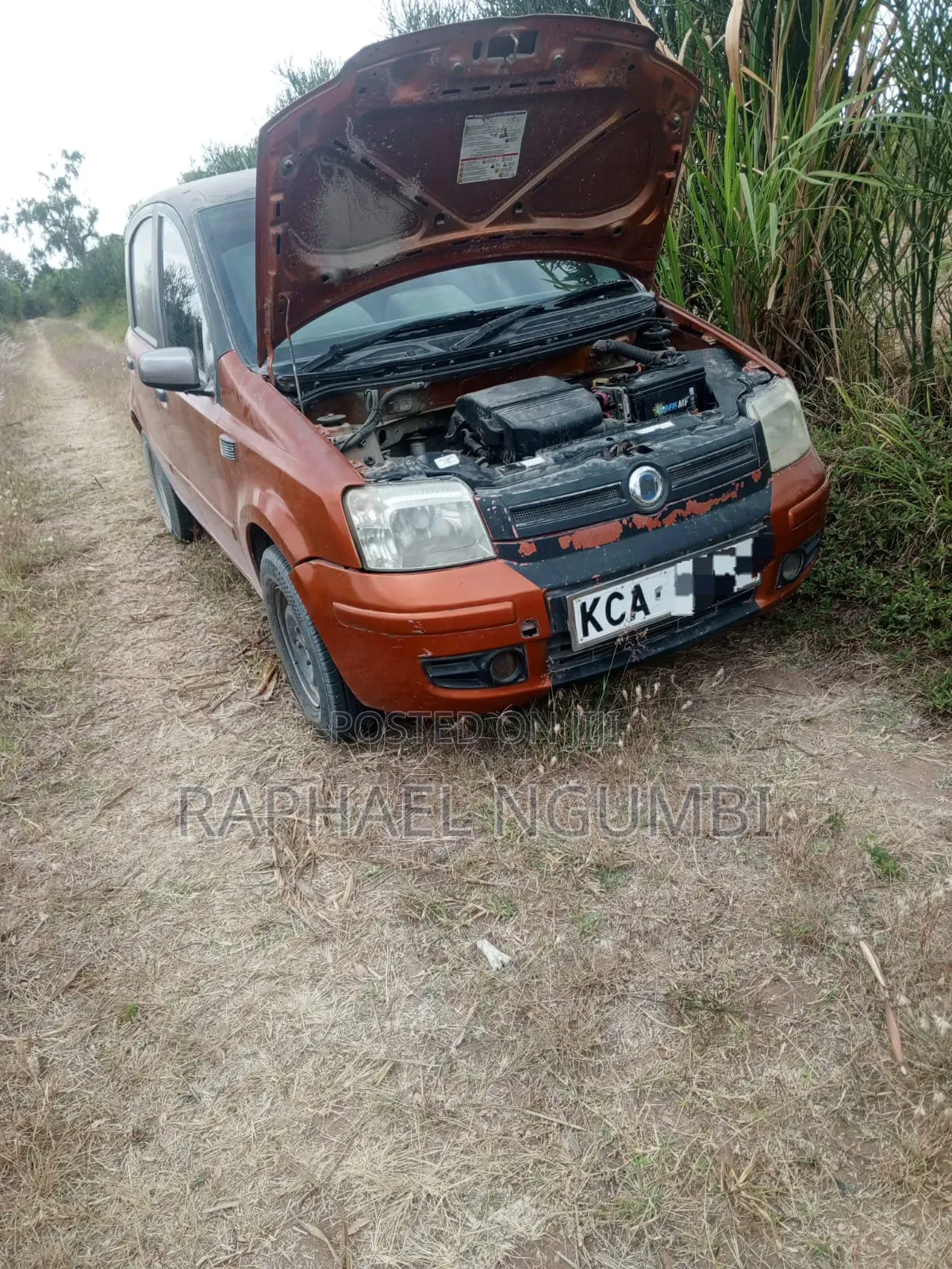 Fiat Panda 2007 Orange