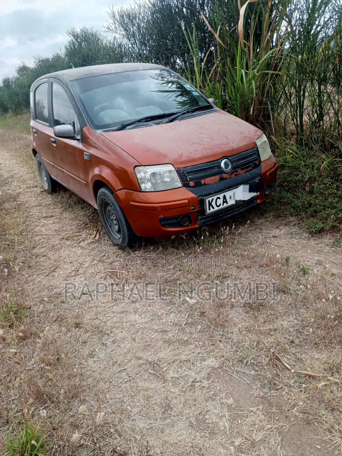 Fiat Panda 2007 Orange