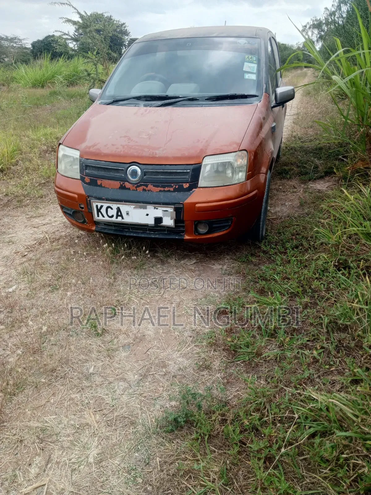 Fiat Panda 2007 Orange