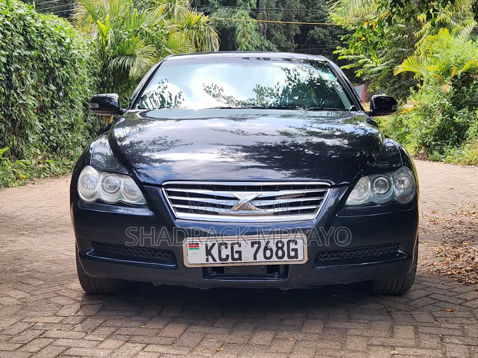 Toyota Mark X 2008 Blue