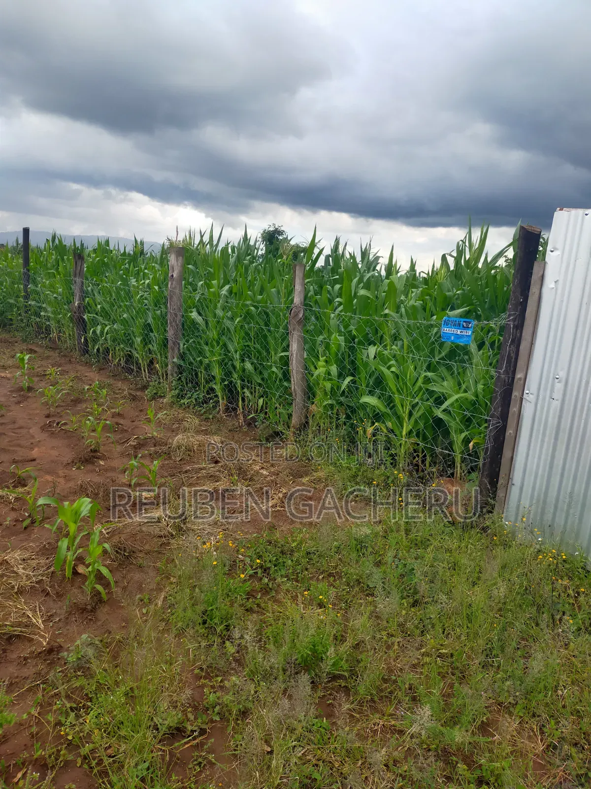 Value Added Plot for Sale