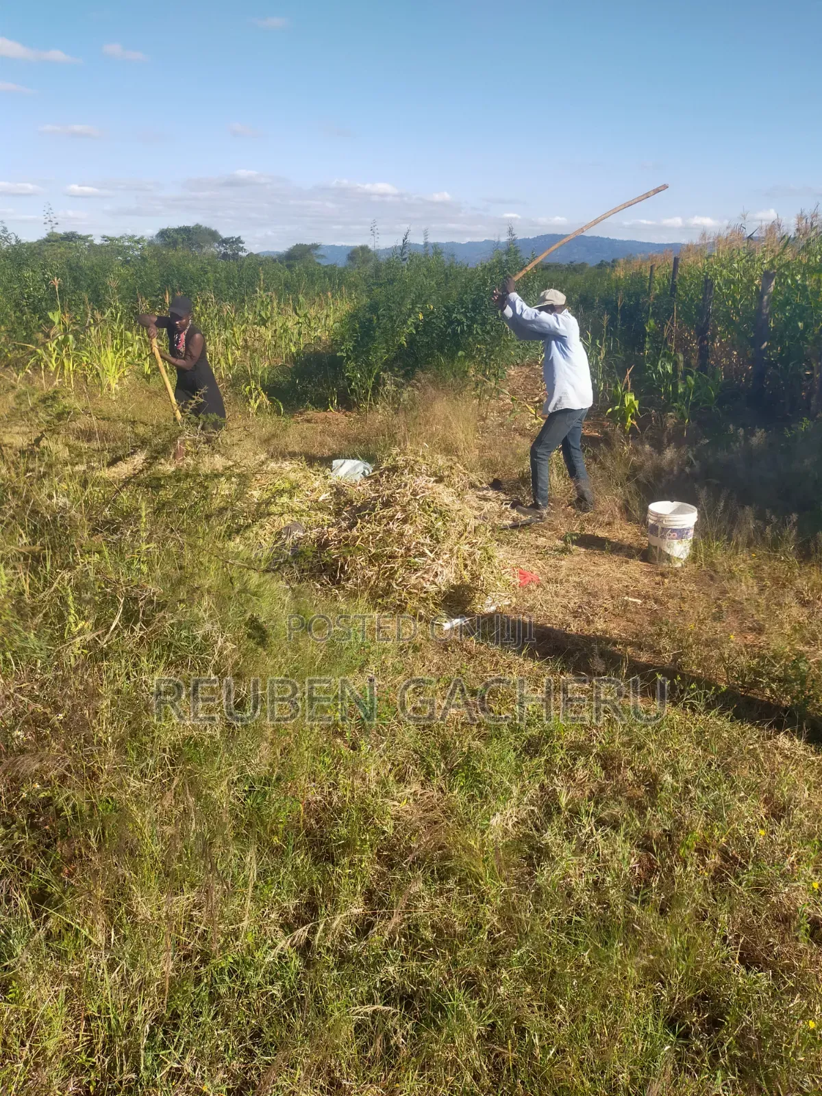 Value Added Plot for Sale