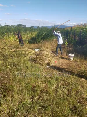 Value Added Plot for Sale