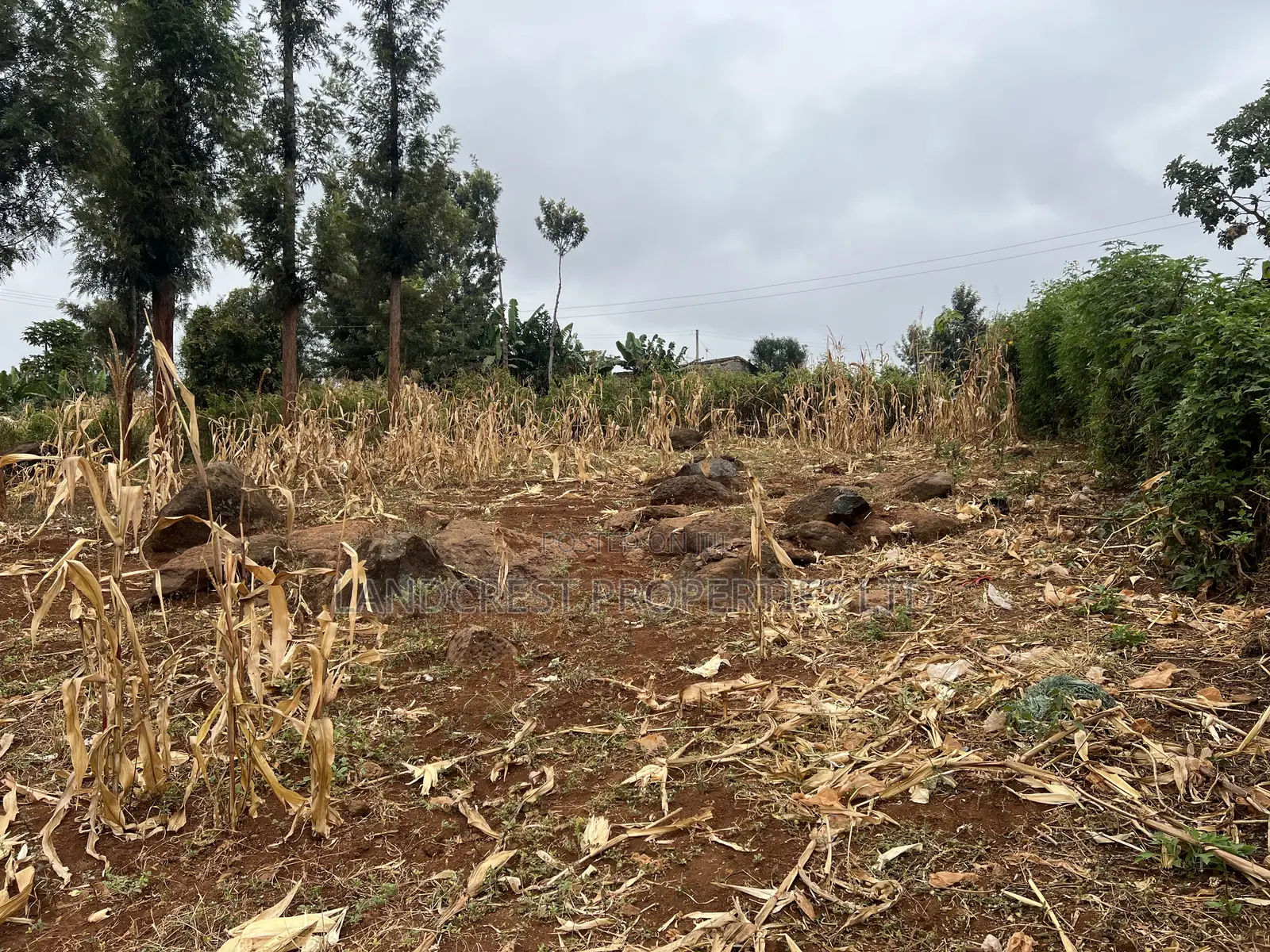 Prime 1/8 Acre for Sale in Maragua,sumary