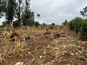 Prime 1/8 Acre for Sale in Maragua,sumary