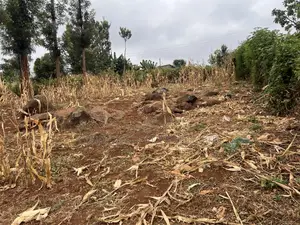 Prime 1/8 Acre for Sale in Maragua,sumary
