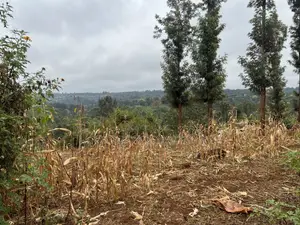 Prime 1/8 Acre for Sale in Maragua,sumary