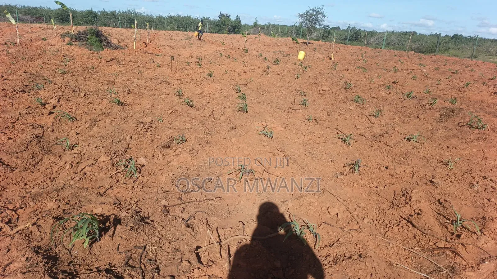 Plots for Sale in Malindi Baolala Area