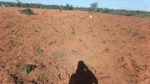 Plots for Sale in Malindi Baolala Area