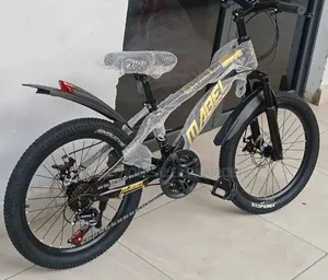 Best Quality Size 20 21gears Bike