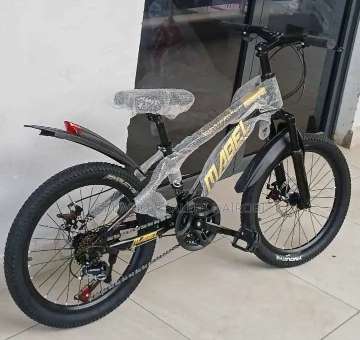 Affordable Size 20 21gears Bike