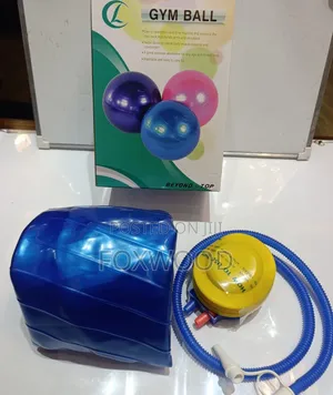 Gym Ball and Manual Pump