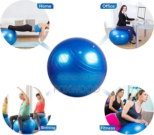 Gym Ball and Manual Pump