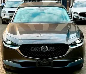 Mazda CX-30 2019 Gray